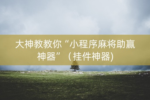 大神教教你“小程序麻将助赢神器”（挂件神器)