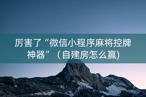 厉害了“微信小程序麻将控牌神器”（自建房怎么赢)