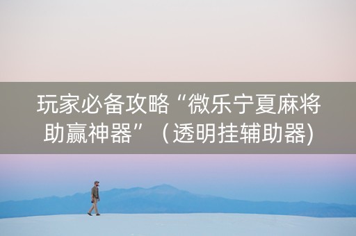 玩家必备攻略“微乐宁夏麻将助赢神器”（透明挂辅助器)