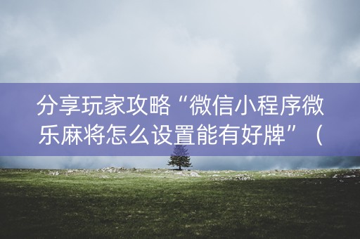 分享玩家攻略“微信小程序微乐麻将怎么设置能有好牌”（神器最新免费)