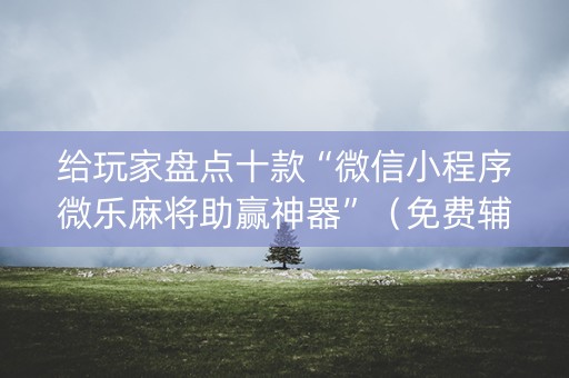 给玩家盘点十款“微信小程序微乐麻将助赢神器”（免费辅助)