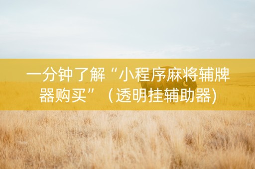 一分钟了解“小程序麻将辅牌器购买”（透明挂辅助器)