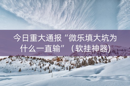 今日重大通报“微乐填大坑为什么一直输”（软挂神器)