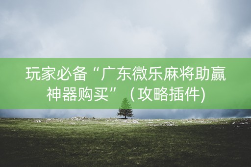 玩家必备“广东微乐麻将助赢神器购买”（攻略插件)