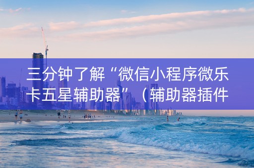 三分钟了解“微信小程序微乐卡五星辅助器”（辅助器插件)