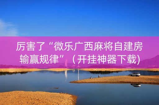 厉害了“微乐广西麻将自建房输赢规律”（开挂神器下载)