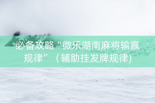 必备攻略“微乐湖南麻将输赢规律”（辅助挂发牌规律)