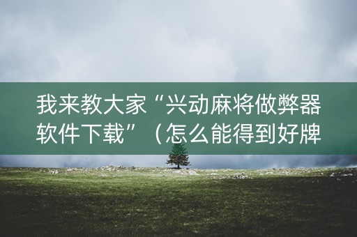 我来教大家“兴动麻将做弊器软件下载”（怎么能得到好牌)