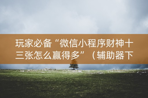玩家必备“微信小程序财神十三张怎么赢得多”（辅助器下载)