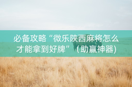 必备攻略“微乐陕西麻将怎么才能拿到好牌”（助赢神器)