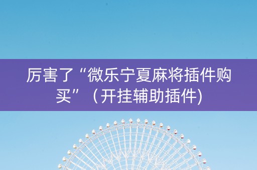 厉害了“微乐宁夏麻将插件购买”（开挂辅助插件)