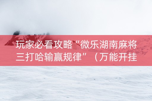 玩家必看攻略“微乐湖南麻将三打哈输赢规律”（万能开挂器)