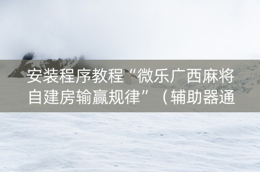 安装程序教程“微乐广西麻将自建房输赢规律”（辅助器通用版)