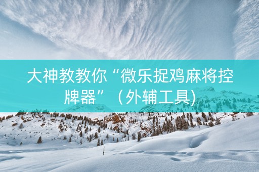 大神教教你“微乐捉鸡麻将控牌器”（外辅工具)