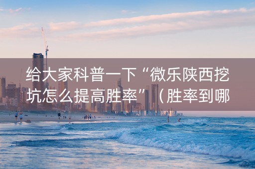 给大家科普一下“微乐陕西挖坑怎么提高胜率”（胜率到哪调)
