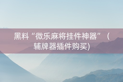 黑料“微乐麻将挂件神器”（辅牌器插件购买)