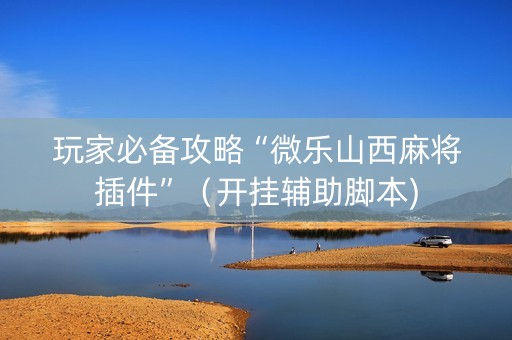 玩家必备攻略“微乐山西麻将插件”（开挂辅助脚本)