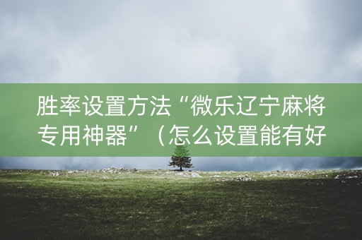 胜率设置方法“微乐辽宁麻将专用神器”（怎么设置能有好牌)