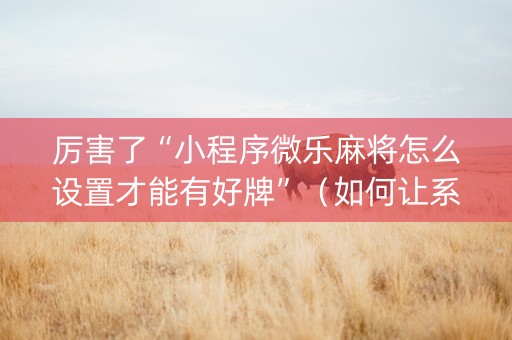 厉害了“小程序微乐麻将怎么设置才能有好牌”（如何让系统发好牌)
