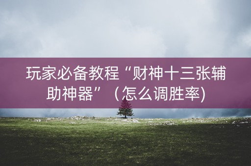 玩家必备教程“财神十三张辅助神器”（怎么调胜率)