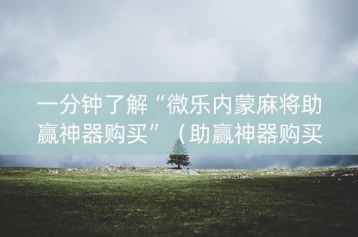 一分钟了解“微乐内蒙麻将助赢神器购买”（助赢神器购买)