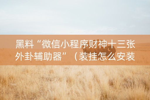 黑料“微信小程序财神十三张外卦辅助器”（装挂怎么安装)