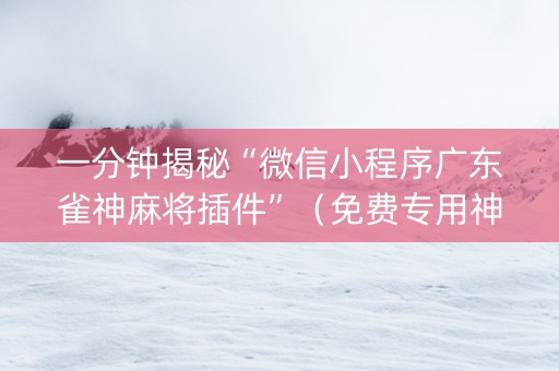 一分钟揭秘“微信小程序广东雀神麻将插件”（免费专用神器)
