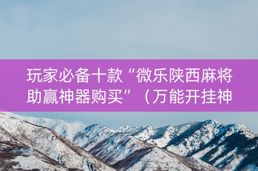玩家必备十款“微乐陕西麻将助赢神器购买”（万能开挂神器)