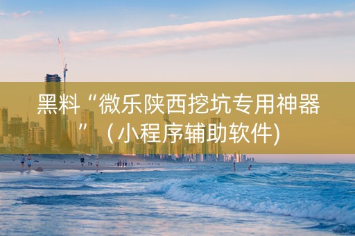 黑料“微乐陕西挖坑专用神器”（小程序辅助软件)