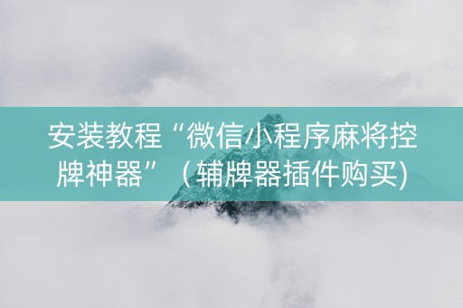 安装教程“微信小程序麻将控牌神器”（辅牌器插件购买)