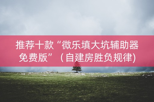 推荐十款“微乐填大坑辅助器免费版”（自建房胜负规律)