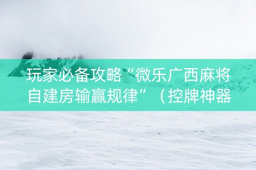 玩家必备攻略“微乐广西麻将自建房输赢规律”（控牌神器)