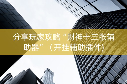 分享玩家攻略“财神十三张辅助器”（开挂辅助插件)