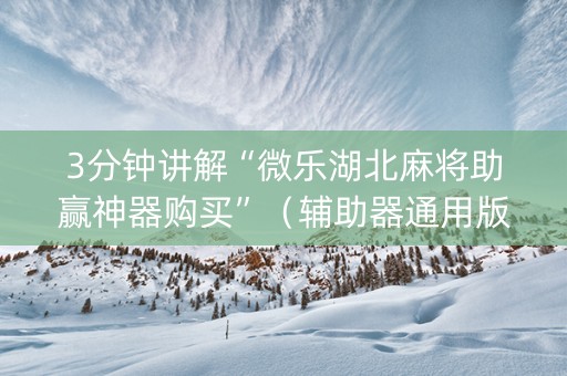 3分钟讲解“微乐湖北麻将助赢神器购买”（辅助器通用版)