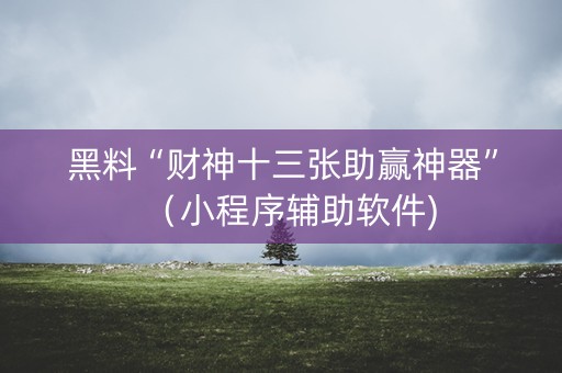 黑料“财神十三张助赢神器”（小程序辅助软件)