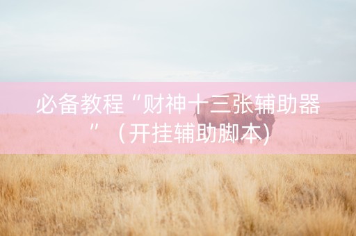 必备教程“财神十三张辅助器”（开挂辅助脚本)