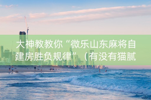 大神教教你“微乐山东麻将自建房胜负规律”（有没有猫腻)