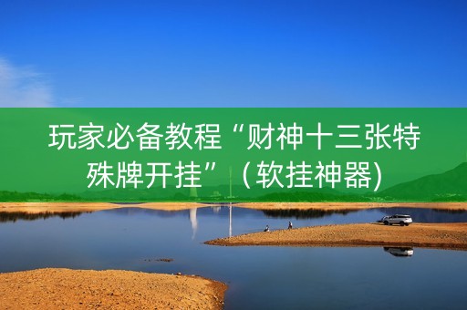 玩家必备教程“财神十三张特殊牌开挂”（软挂神器)
