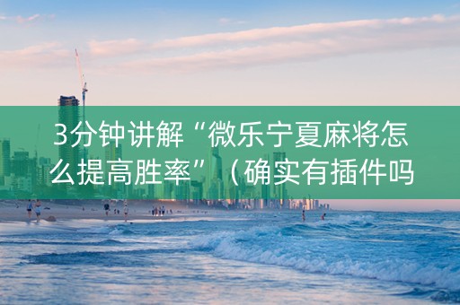 3分钟讲解“微乐宁夏麻将怎么提高胜率”（确实有插件吗)