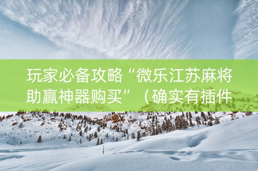玩家必备攻略“微乐江苏麻将助赢神器购买”（确实有插件吗)