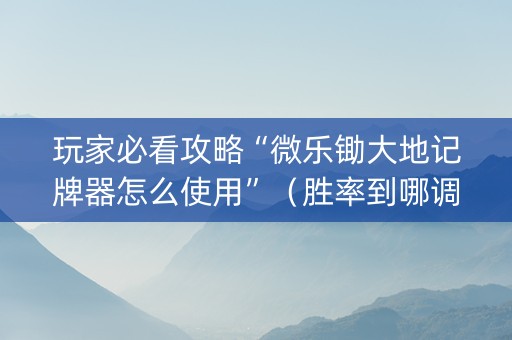玩家必看攻略“微乐锄大地记牌器怎么使用”（胜率到哪调)