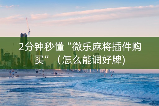 2分钟秒懂“微乐麻将插件购买”（怎么能调好牌)