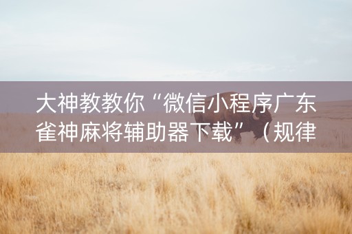 大神教教你“微信小程序广东雀神麻将辅助器下载”（规律确实有挂)