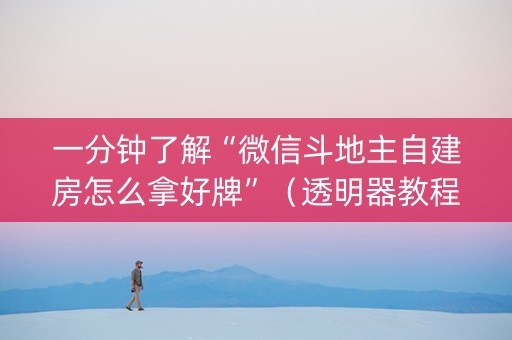 一分钟了解“微信斗地主自建房怎么拿好牌”（透明器教程)
