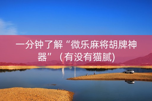 一分钟了解“微乐麻将胡牌神器”（有没有猫腻)