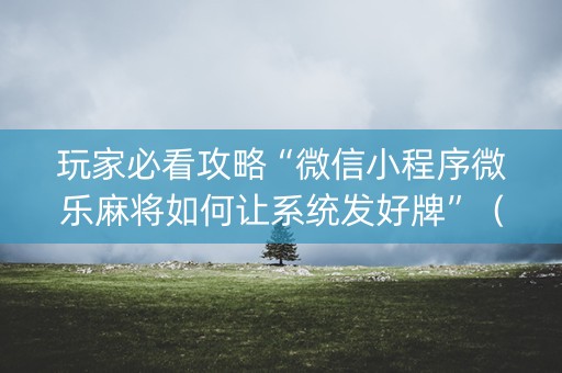 玩家必看攻略“微信小程序微乐麻将如何让系统发好牌”（专用神器下载)