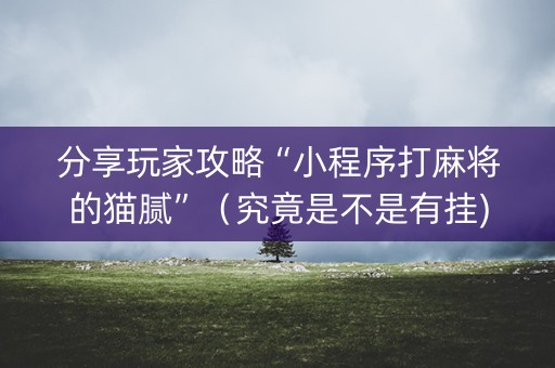 分享玩家攻略“小程序打麻将的猫腻”（究竟是不是有挂)
