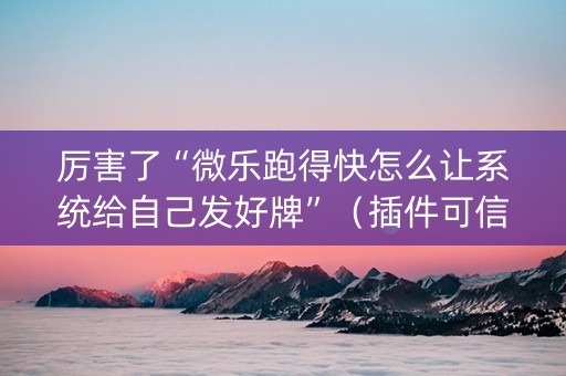 厉害了“微乐跑得快怎么让系统给自己发好牌”（插件可信吗)