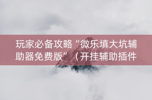 玩家必备攻略“微乐填大坑辅助器免费版”（开挂辅助插件)