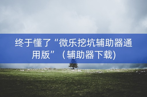 终于懂了“微乐挖坑辅助器通用版”（辅助器下载)